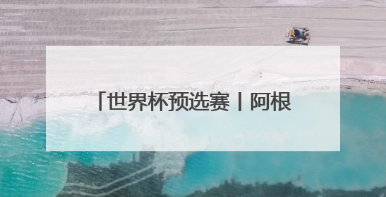 世界杯预选赛丨阿根廷队平哥伦比亚队